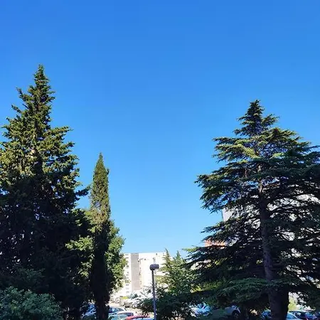 No Worries 스플리트